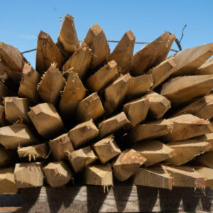 Piquets Robinier (Faux Acacia) – Image 3