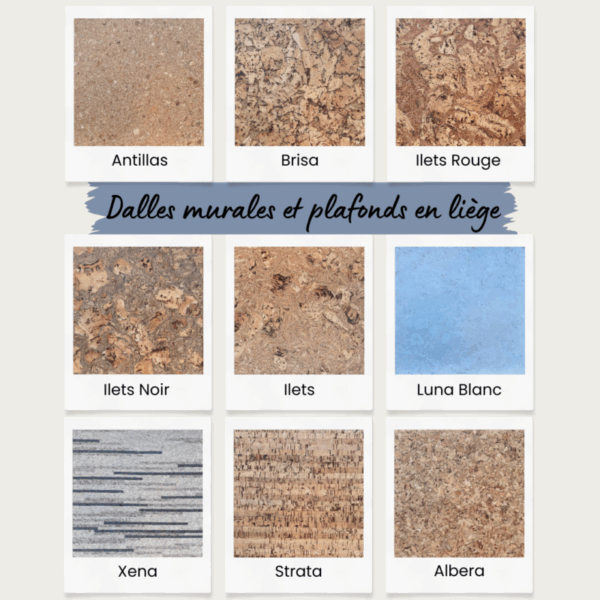 dalles-murales-.png