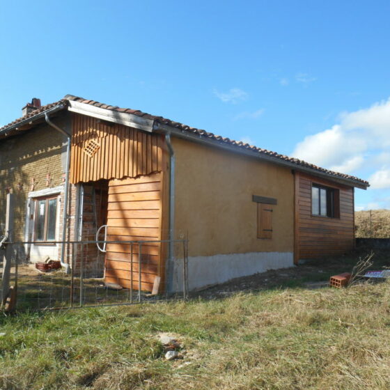 Volet en lame de Châtaignier