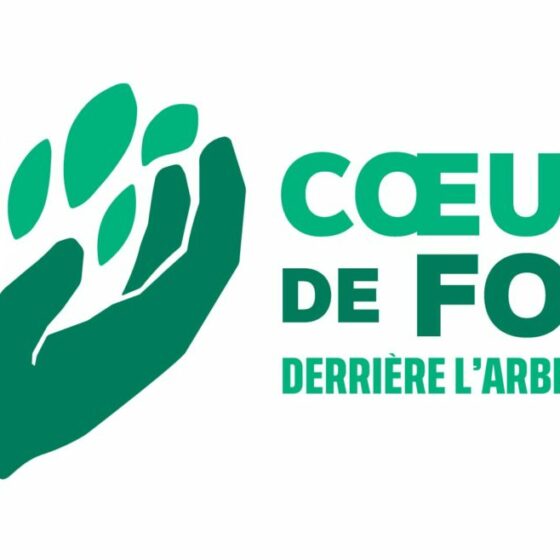 Cœur de forêt