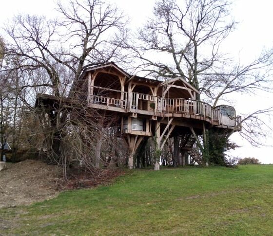 Cabane dans les arbres