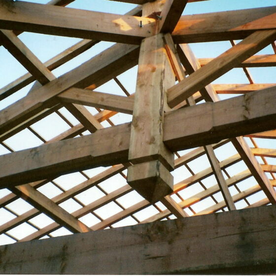 Charpente Douglas