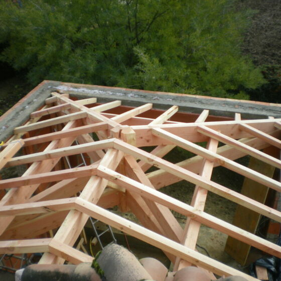 Charpente Douglas