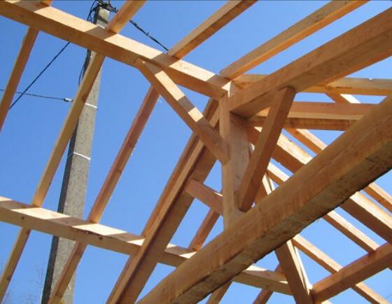 Charpente Douglas