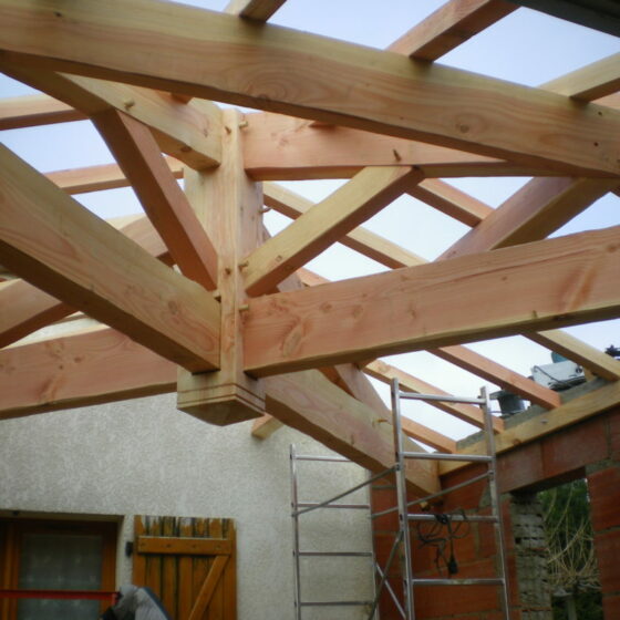 Charpente Douglas