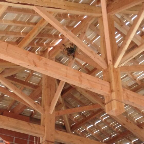 Charpente tradi en Douglas avec poutre massif en 12m00