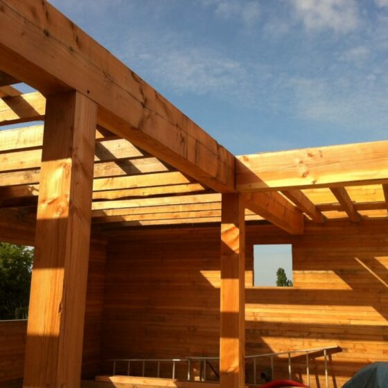 Murs et Toit en Douglas