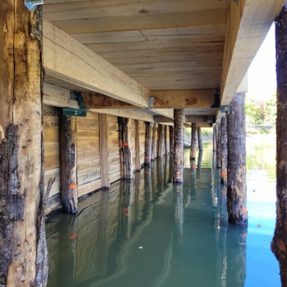 Ponton Châtaignier