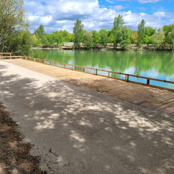 Ponton Châtaignier