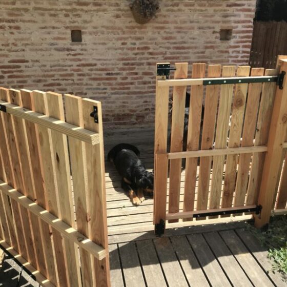 Portillon Mélèze