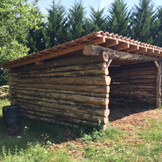 Toiture en Douglas, tronc récupéré par le client
