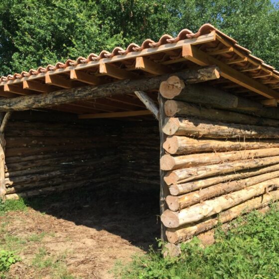 Toiture en Douglas, tronc récupéré par le client